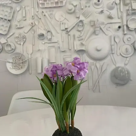 Διαμέρισμα Garay Μπένιντορμ